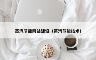 山东蒸汽节能网站建设（蒸汽节能技术）